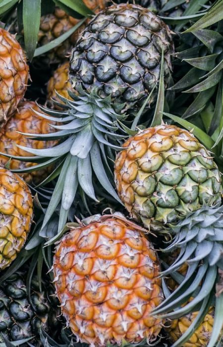 organic-blog-3